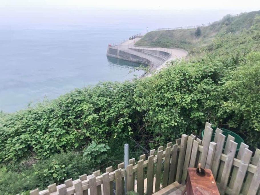 ליים ריג'יס Lyme Clifftop Hideaway מראה חיצוני תמונה